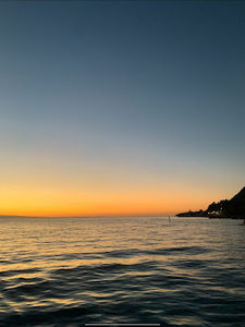 Meet your Posher, Mischa